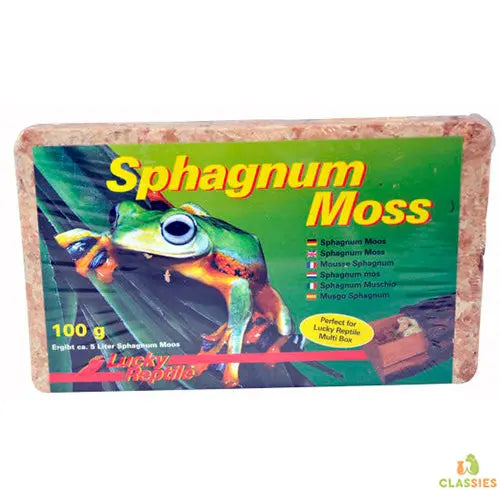 Lucky Reptile Sphagnum moss brick Classies
