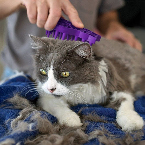 KONG Zoom Groom Rubber Kattenborstel - 11 cm Classies