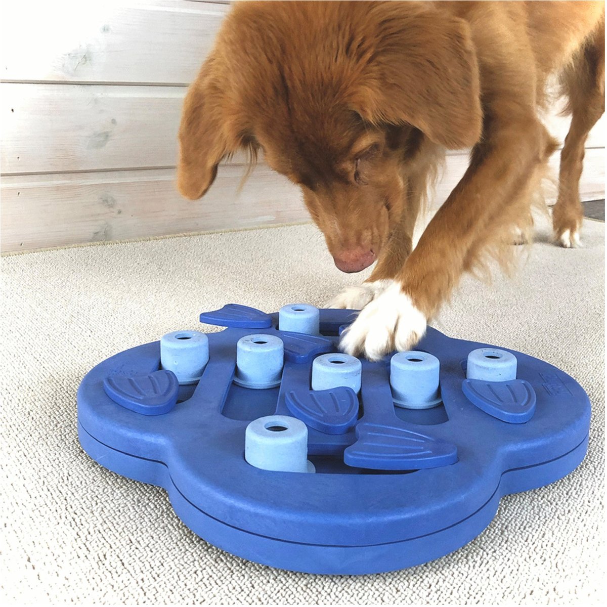 Nina Ottosson Hundeversteck und Rutsche, zusammengesetzt, 33 x 33 x 5 cm