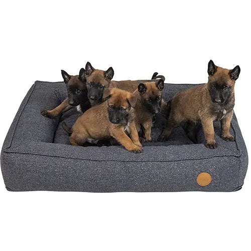Jack and Vanilla Orthopedisch boxbed in 3 maten Classies