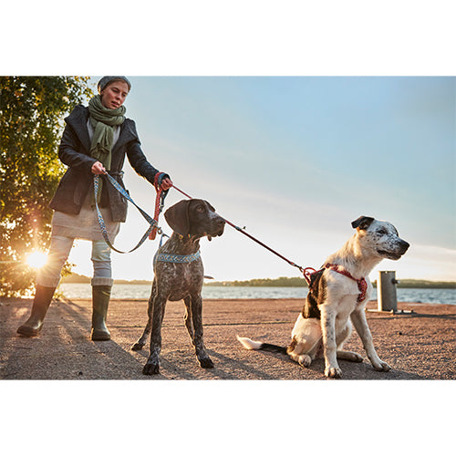 Hurtta Harness Razzle Dazzle H-Harness – Hundegeschirr in verschiedenen Farben