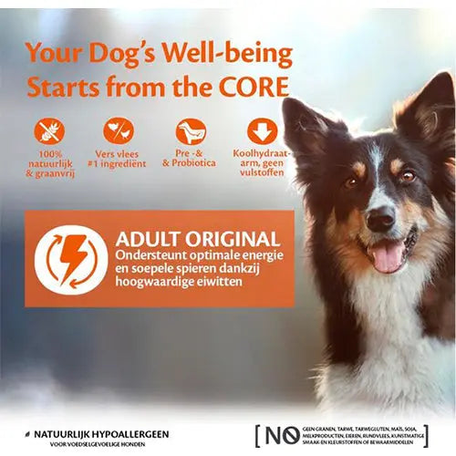 Wellness Core - Hondenvoer - Droogvoer - Graanvrij - Kalkoen/Kip - 10 kg Classies