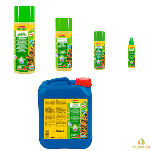 Es wird Florena sein