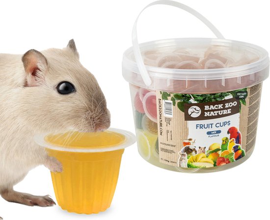 Back Zoo Nature Fruitkuipje Mix 100 stuks Classies