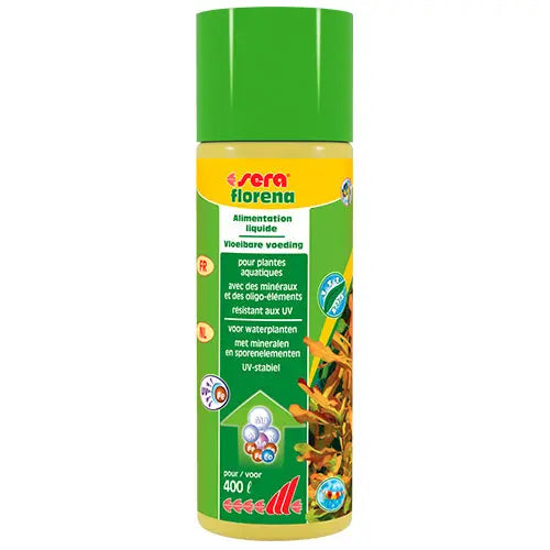 sera florena Classies