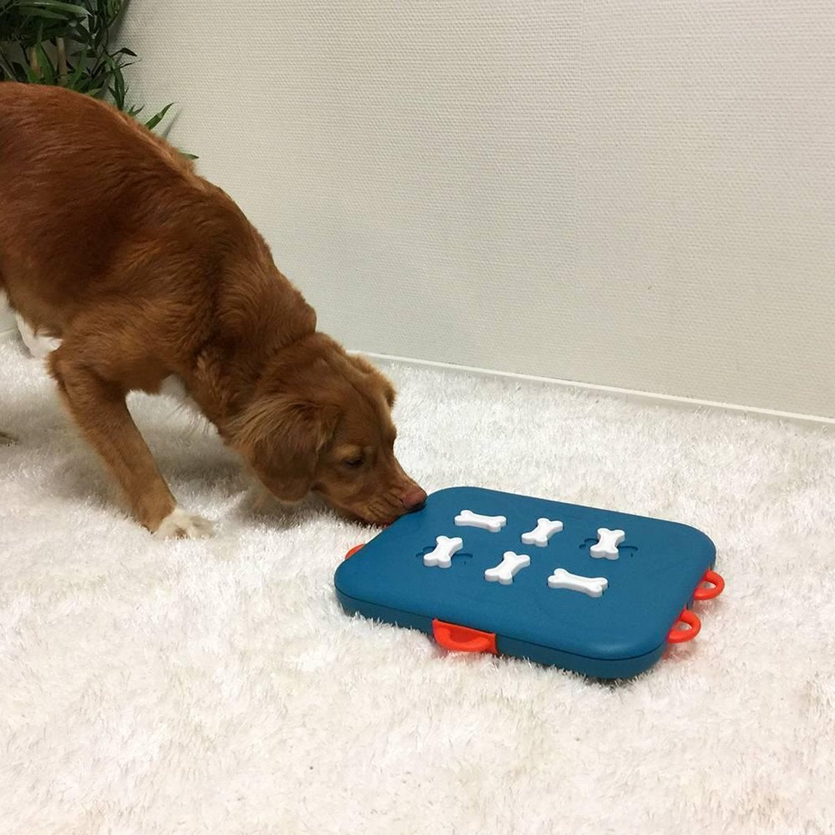 Nina Ottosson Dog Casino – Türkis/Orange – 31,5 x 26 x 4,5 cm