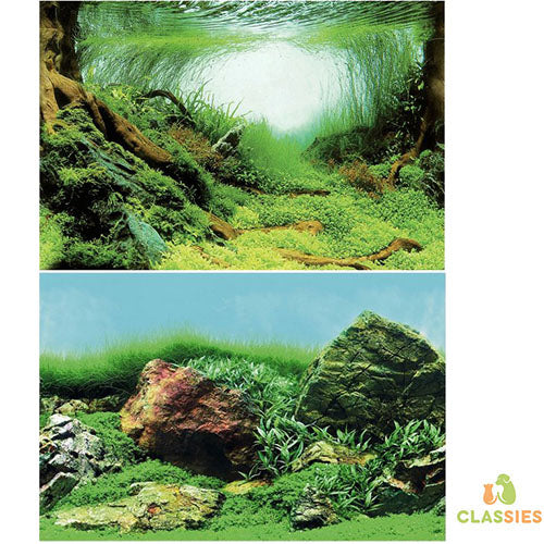 SuperFish Deco Poster Aquascape Plant - Achterwand - 120X49 cm Classies