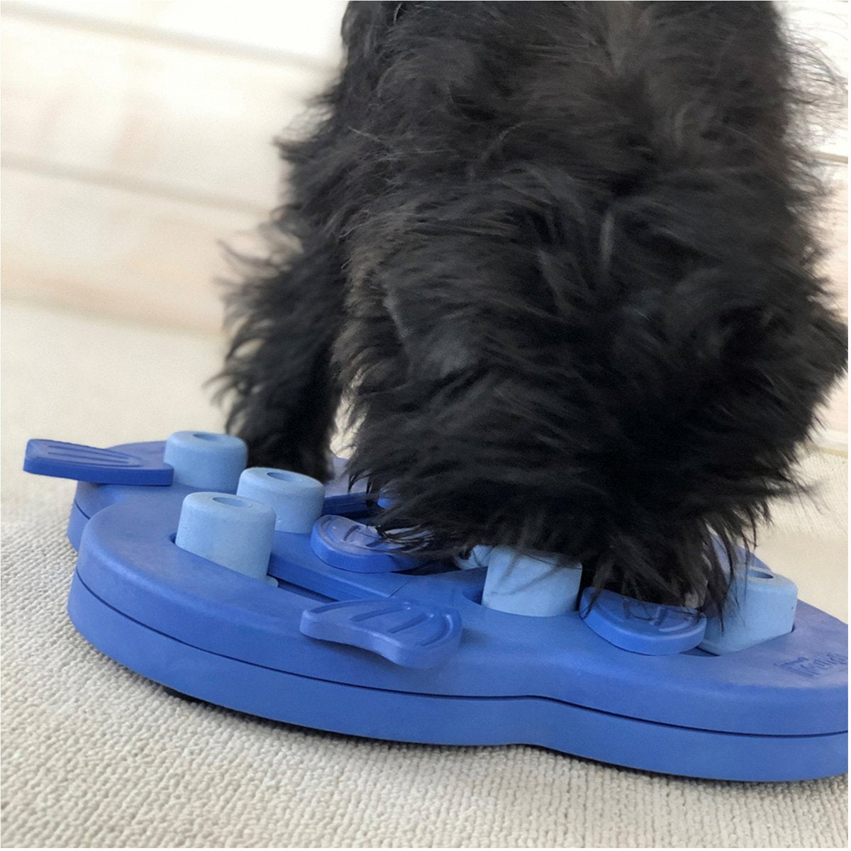 Nina Ottosson Hundeversteck und Rutsche, zusammengesetzt, 33 x 33 x 5 cm