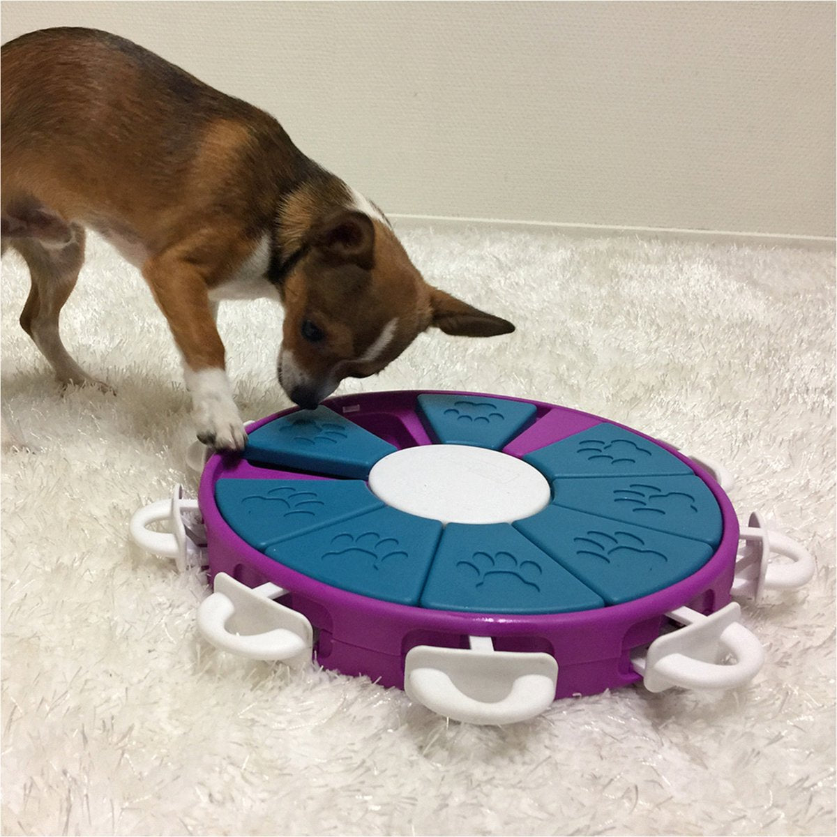 Nina Ottosson - Dog Twister - Hondenspeelgoed Intelligentie - Anti-schrok speelgoed Classies