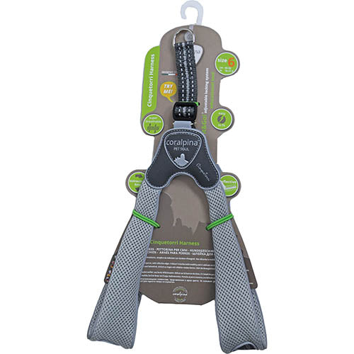 Luxus Coralpina Geschirr Cinquetorri hellgrau