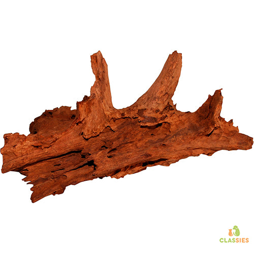 Für Reptilien Mangrovenholz M - L