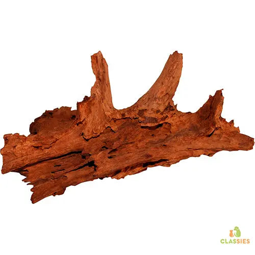 Pro Reptil mangrovehout M - L Classies
