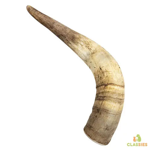Jack and Vanilla veehoorn in 3 maten Classies