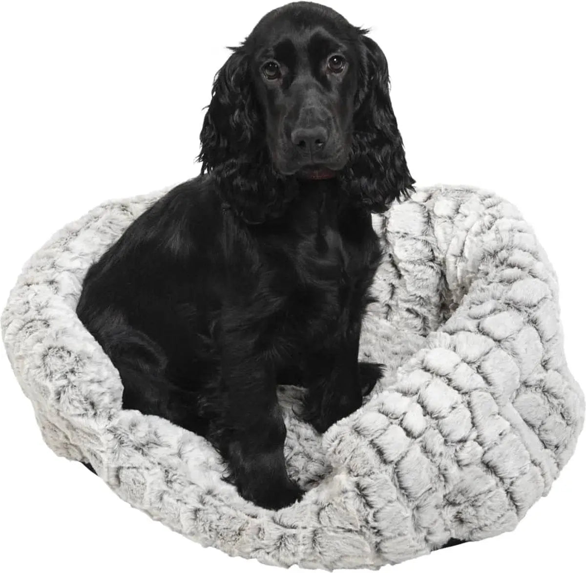 Jack and Vanilla snakeskin mand Classies