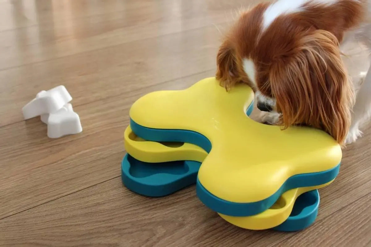 Dog Tornado Blu Classies