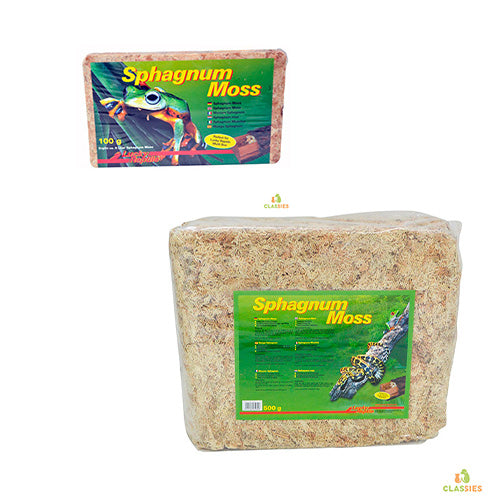 Lucky Reptile Sphagnum moss brick