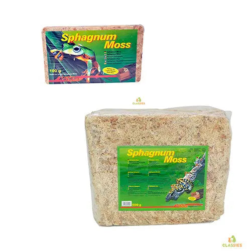 Lucky Reptile Sphagnum moss brick Classies