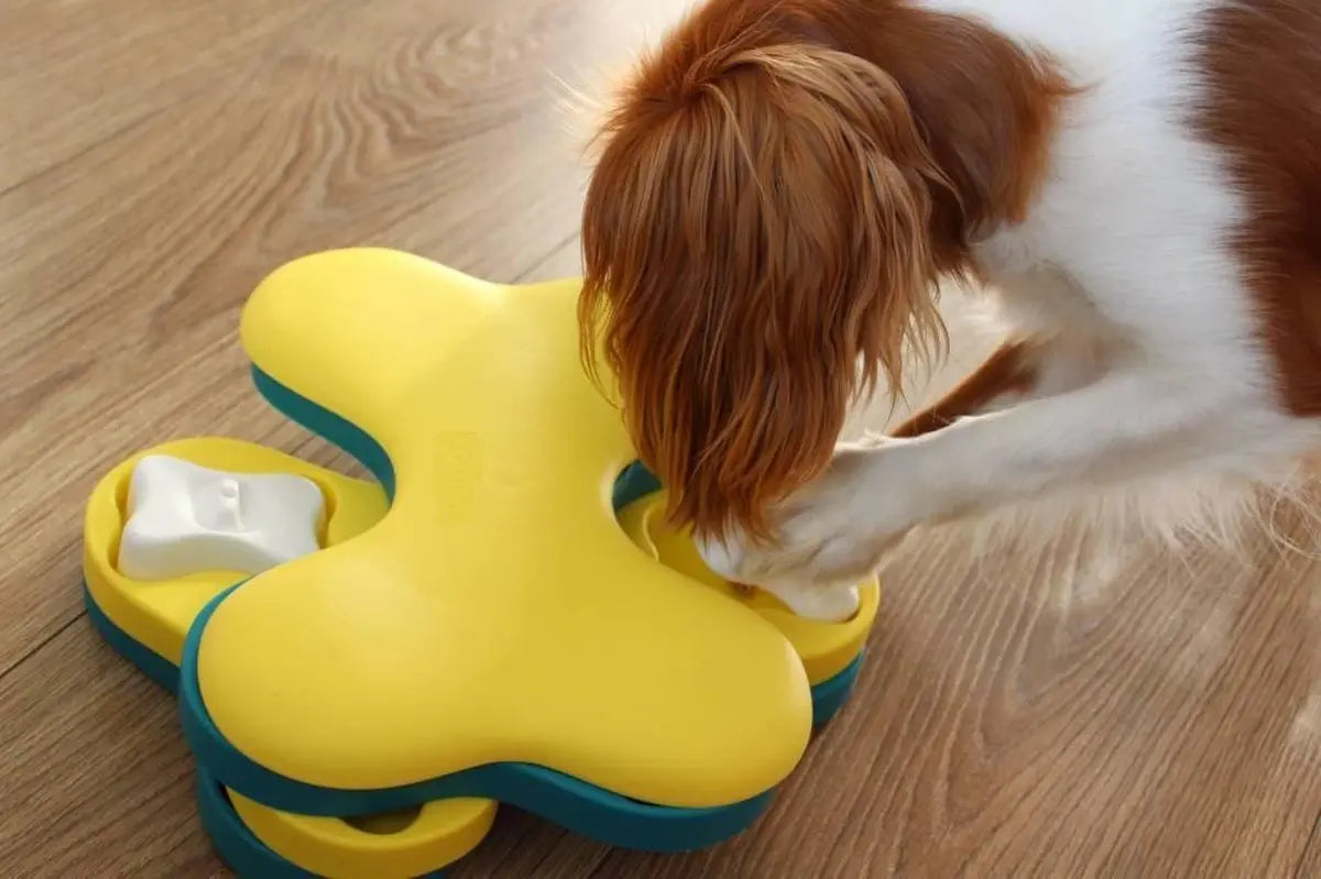 Dog Tornado Blu Classies