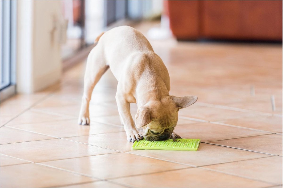 Slowfeeder Lickimat Sortiert - 20 cm