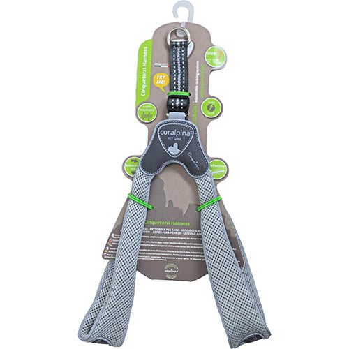 Luxus Coralpina Geschirr Cinquetorri hellgrau