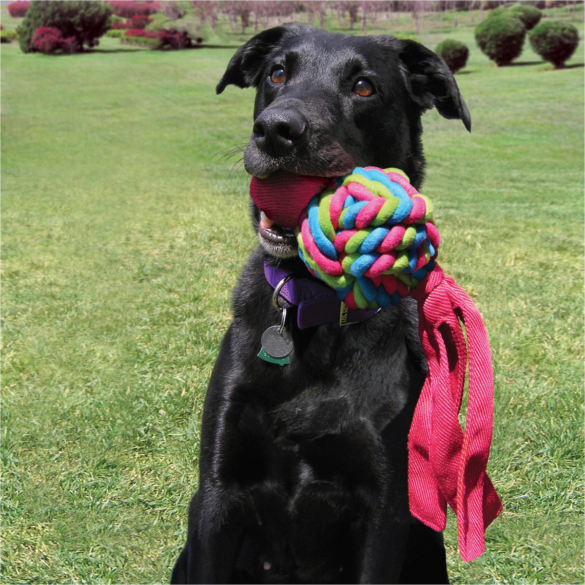 Kong Wubba Weaves Small - Large