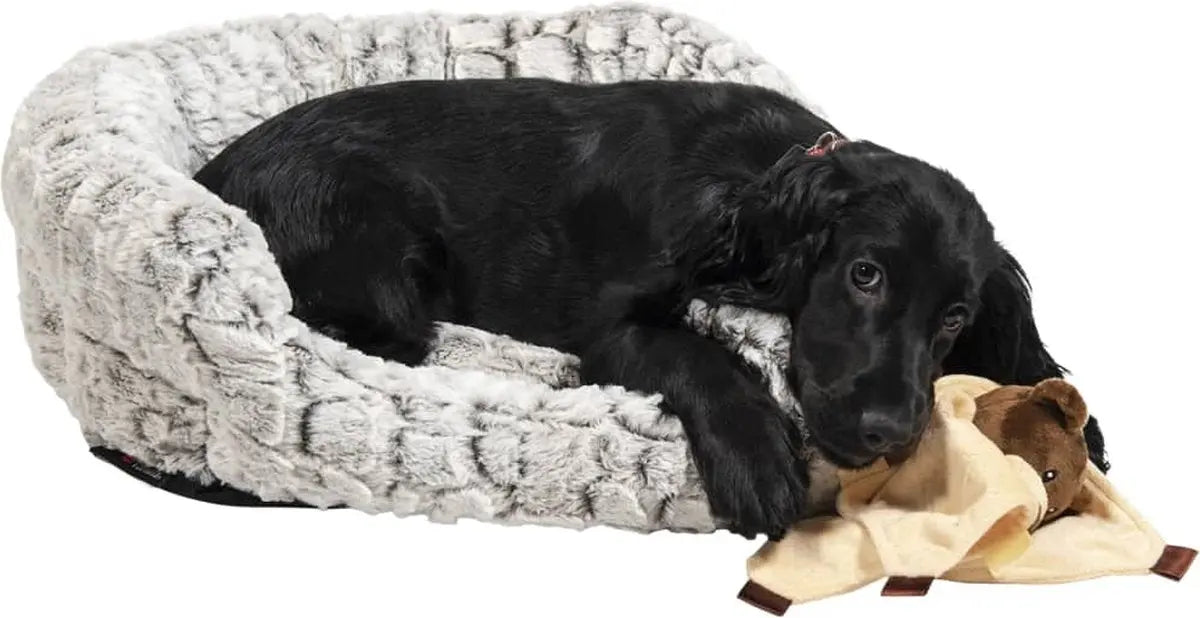 Jack and Vanilla snakeskin mand Classies
