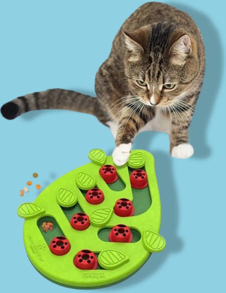 Nina ottosson puzzle & play buggin out groen 35x26x4 cm Classies