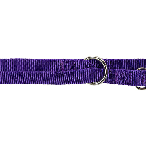 Trixie Nylon Premium Verstelbare Hondenriem - Violet - Maat L-XL: Breedte: 2 cm - Lengte: 2 meter