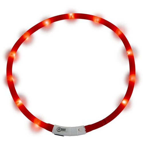 Jack and Vanilla LED Halsbanden - Verkrijgbaar in 4 kleuren Classies