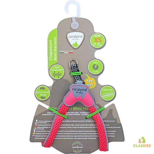 Coralpinia mini harnais Cinquetorri uniquement pour les très petites races