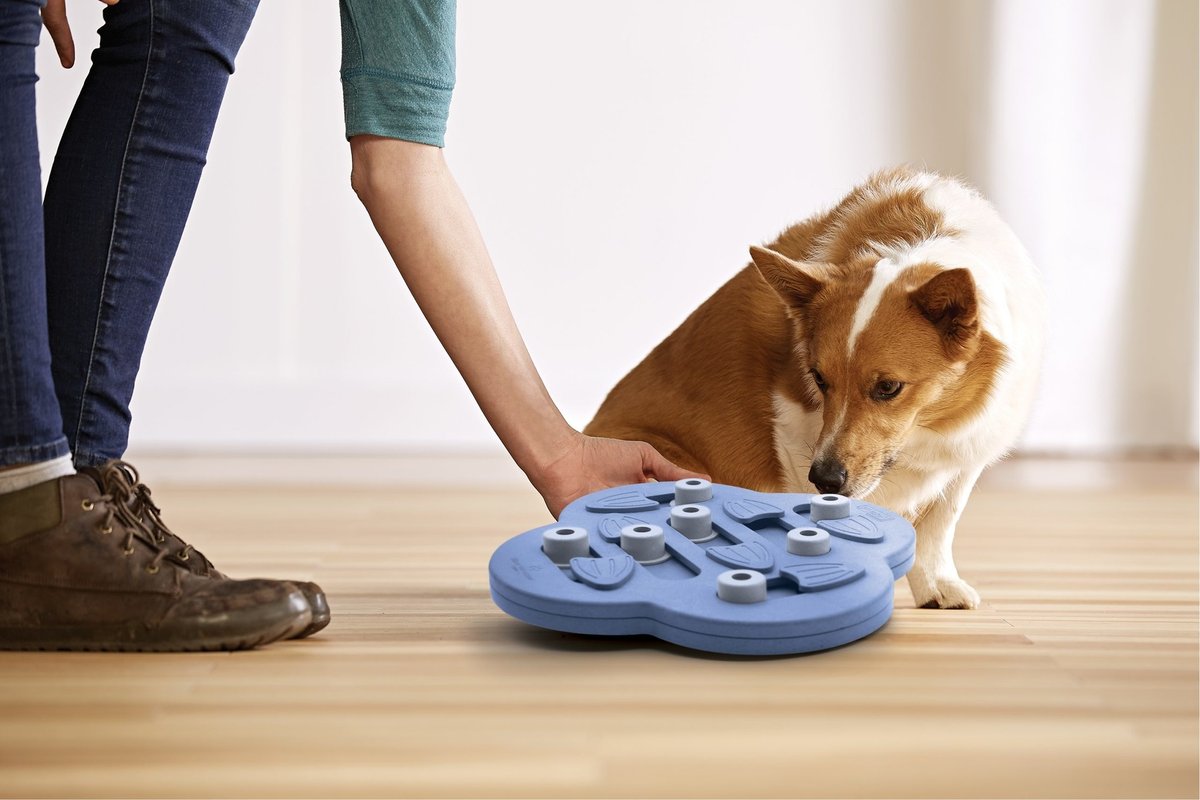 Nina Ottosson Hundeversteck und Rutsche, zusammengesetzt, 33 x 33 x 5 cm