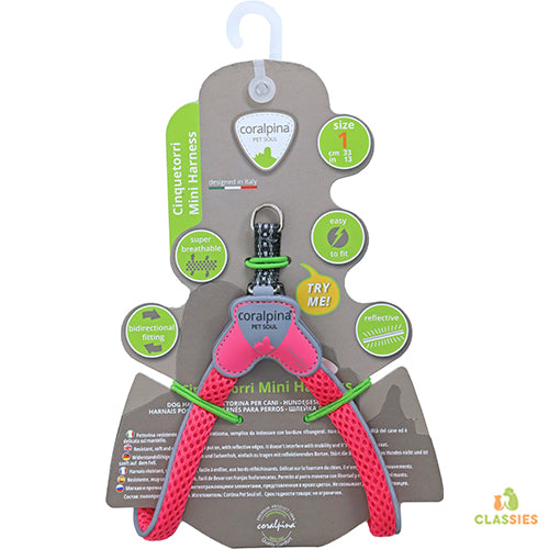 Coralpinia mini harnais Cinquetorri uniquement pour les très petites races