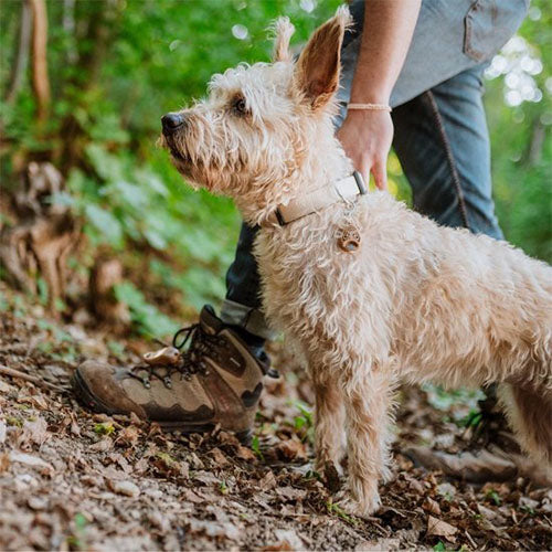 Tickless Ultrasoon Afweermiddel tegen Teken en Vlooien bij Honden - Standaard Versie - Verkrijgbaar in verschillende varianten Classies