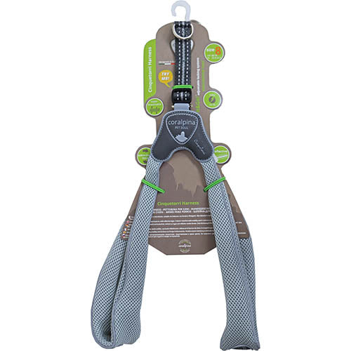 Luxus Coralpina Geschirr Cinquetorri hellgrau