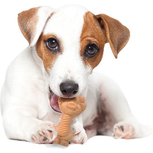 Nylabone Extreme Chew Pig Bacon Kauspielzeug – Klein für Hunde bis 11 kg