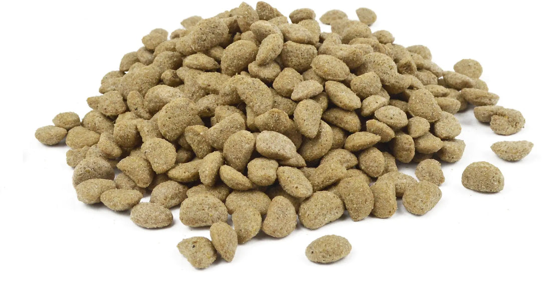 Opfokvoer Bird-X papegaai premium original onderhoud 3 - 10 kg Classies