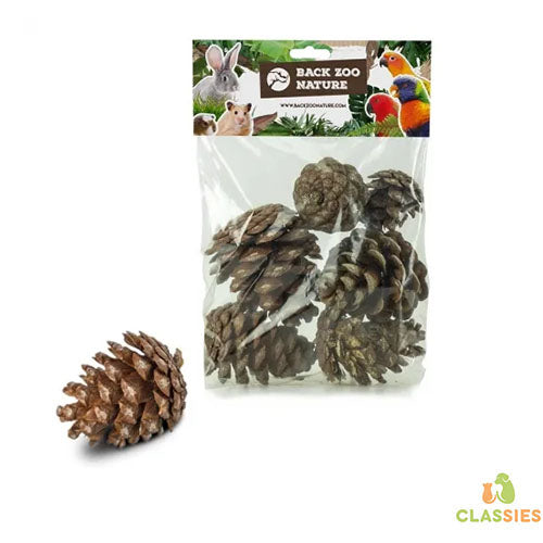 Back Zoo Nature Forest Pine Cones - Dennenappels - 6 stuks Classies