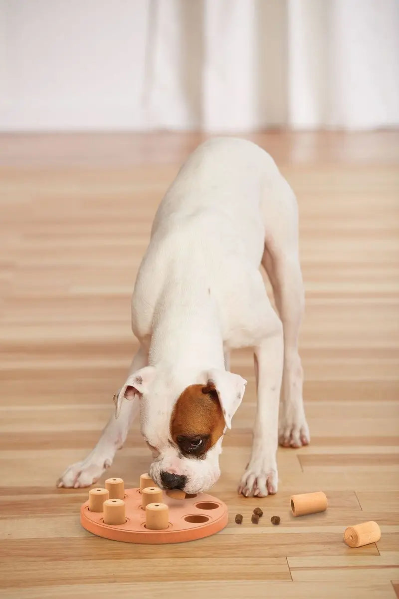 Hondendenkspel Nina Ottosson dog smart composite Classies