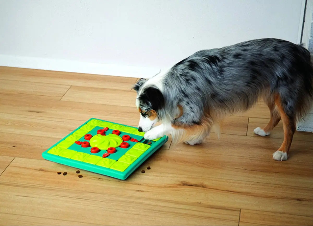 Nina Ottoson intelligentiespeelgoed multi puzzel Classies