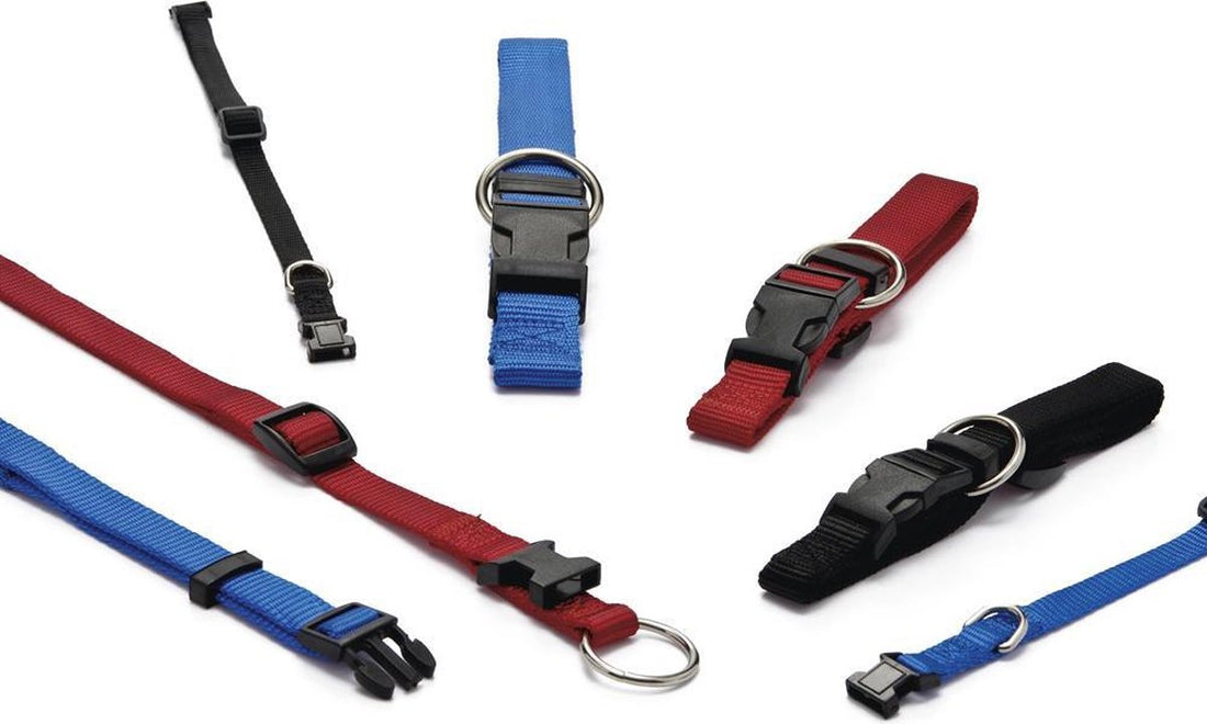 Beeztees - Verstelbare Nylon Honden Halsband - Rood - Nekomtrek tussen 22-35 cm - Breedte Halsband 1 cm