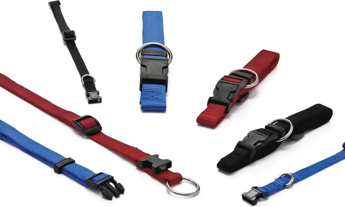 Beeztees - Verstelbare Nylon Honden Halsband - Rood - Nekomtrek tussen 22-35 cm - Breedte Halsband 1 cm Classies