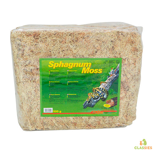 Lucky Reptile Sphagnum Moosziegel