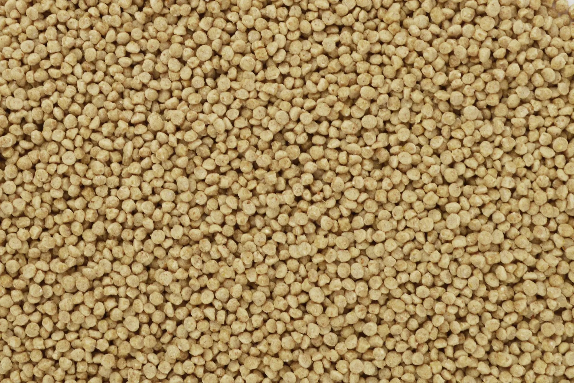 BravoProPearls 2ee89c-2
