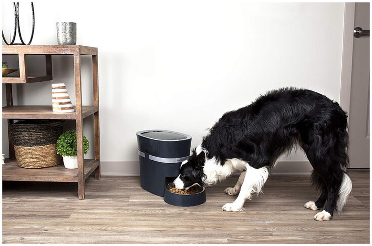PetSafe® Smart Feed Automatischer Futterspender für Haustiere – Mit WLAN- und APP-Bedienung