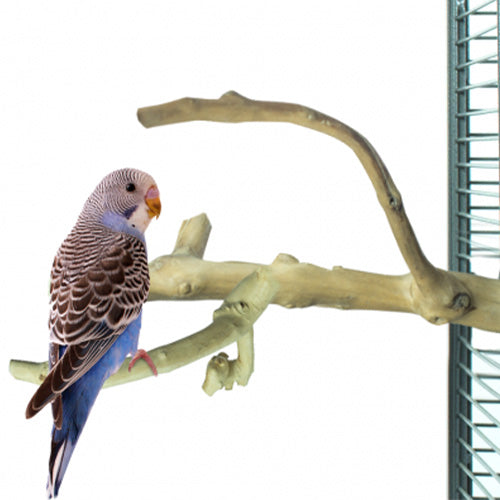 Back Zoo Nature Zitstok Multi Perch Premium X-Small - Geschikt voor: Tropische vogels, kanaries en kleine parkieten 2ee89c-2