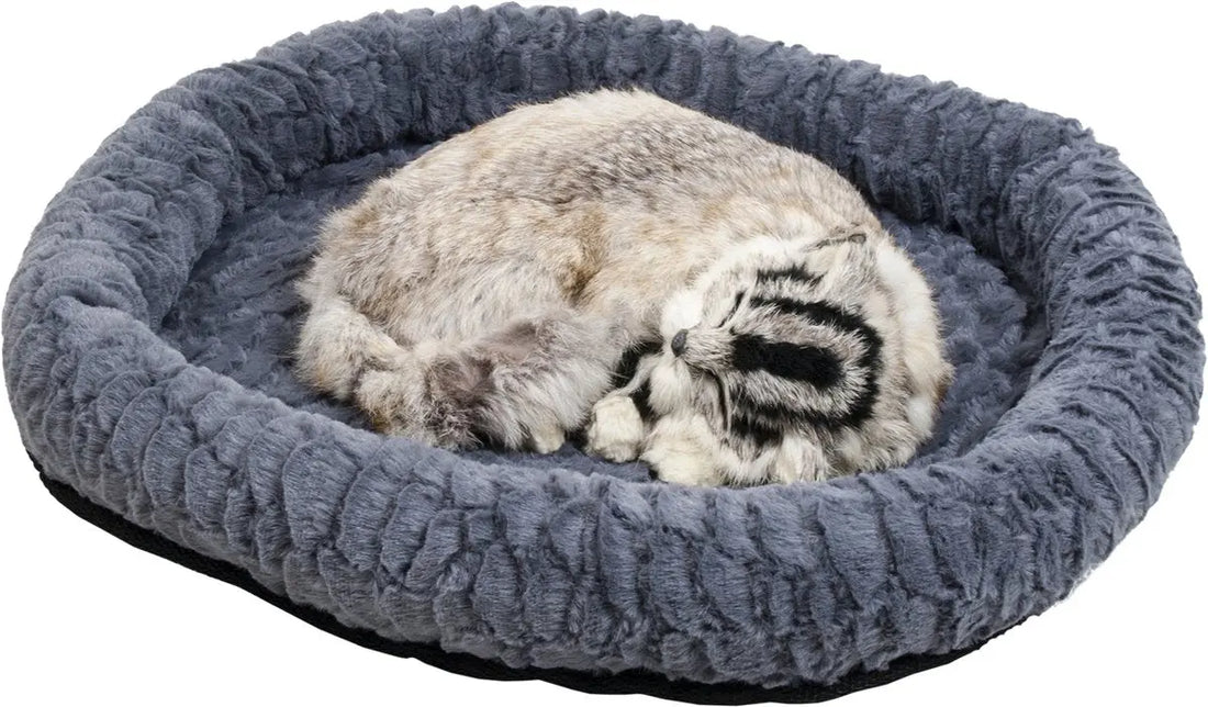 Jack And Vanilla - Manden - Scale Kattenmand - hondenmand Classies