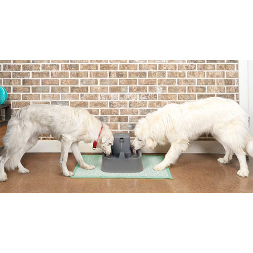 PetSafe Drinkwell Trinkbrunnen, 3,7 Liter.