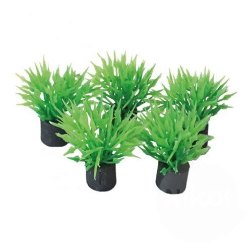 SuperFish Easy Plants Nano Plug 2 cm - 5 stuks Classies