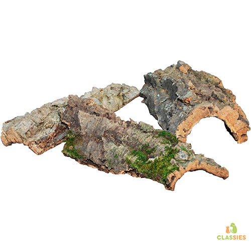 Pro Reptil Korktafel in 2 Größen