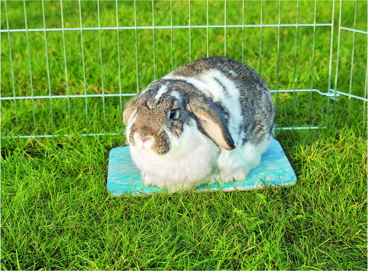Trixie Koelplaat voor Kleine Dieren 28 x 20 cm Classies